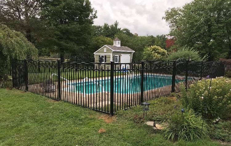 Inspirational Pool Fence Ideas