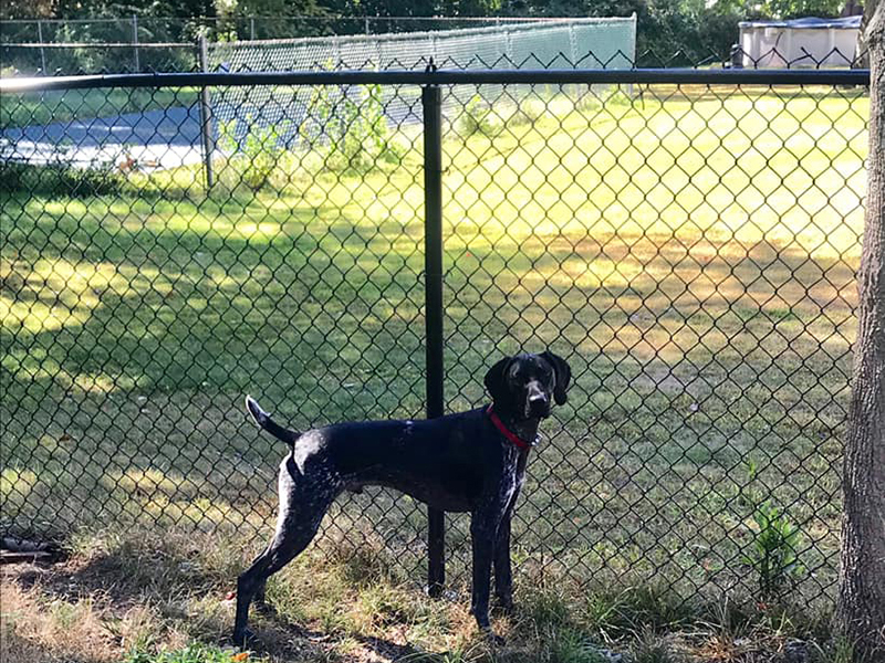 chain link fence Hampstead New Hampshire